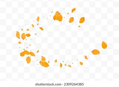 Delicate Tulip Tender Vector Transparent Background. Beauty Peach Template. Yellow Narcissus Dutch Texture. Beautiful Flower Blur Cover.