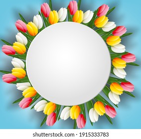 Delicate tulips on a blue background. Place for your text. Floral template for postcard, banner, poster. Vector.