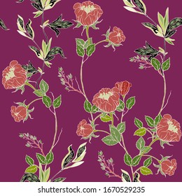 Delicate twigs of red roses with inflorescences, leaves and petals on a plum background. Floral seamless pattern. Vector hand-drawn illustration with flowers and plants.