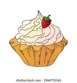 Delicate vector cute strawberry cupcake illustration