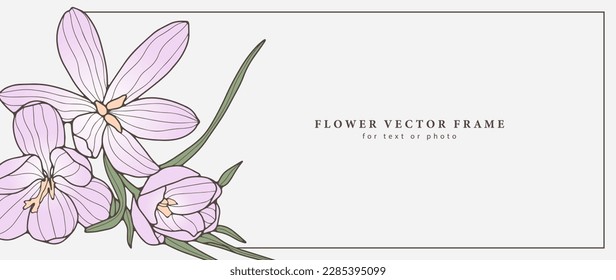 Delicate vector floral frame with pink crocuses and green lilies. Frame for photo, text, business cards, postcards and presentations