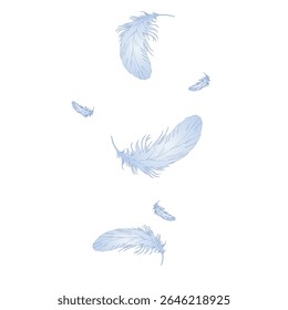 Delicate vector illustration of blue feathers floating gently in the air. Perfect for themes of softness, dreams, freedom, lightness, baby products, or peaceful and calm design projects. angel wing.