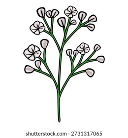 Delicate vector illustration of a white baby's breath flower sprig with green stems