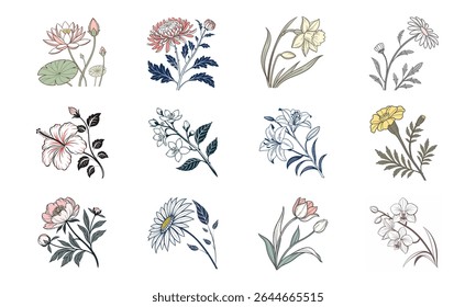Delicado vetor ilustrações de doze flores florescentes diversas design floral botânico