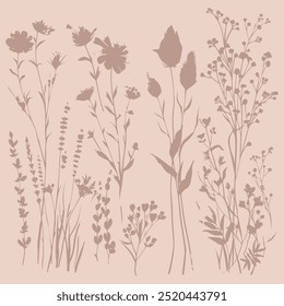 Delicate vector  pattern with wild flowers, herbs botanicals. Soft pastel colors blush beige pink background