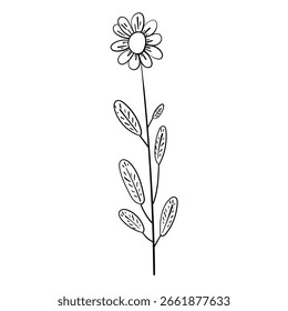 Delicate vector sketch of floral element in black and white.
