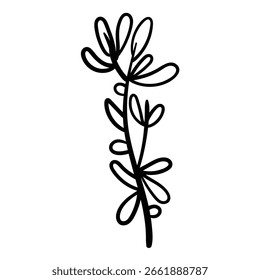 Delicate vector sketch of floral element in black and white.