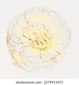 Delicate vintage floral illustration of a pale yellow peony. The peony's soft petals create a classic, timeless floral design. Elegant vintage floral art. Vintage flower illustration isolated, vector.