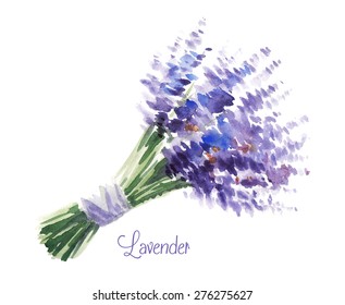 Delicate watercolor bouquet of lavender.  Illustration for greeting cards, invitations, and other printing projects.