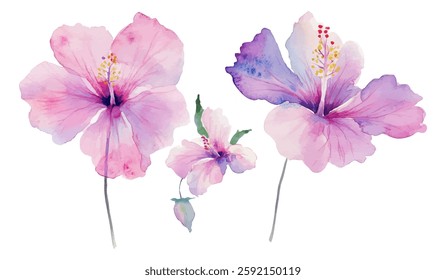 A delicate watercolor illustration featuring three hibiscus flowers in soft pink and purple shades with subtle detail. Perfect for prints, invitations, and botanical-themed decor