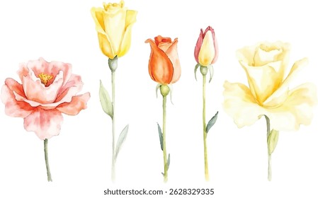 A delicate watercolor illustration showcases five roses in different colors and stages of bloom, ranging from pale pink to vibrant yellow and orange hues.