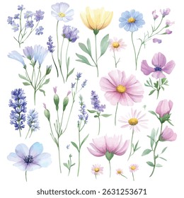 Delicate watercolor illustration of various wildflowers and meadow blooms in soft pastel shades, perfect for spring or nature-themed designs.