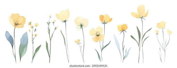 Delicate watercolor illustration of various yellow wildflowers with green leaves on a white background. Perfect for botanical prints, decor, and stationery