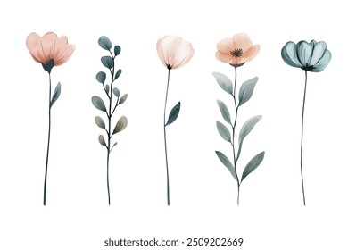 Delicate watercolor plants for wedding invitations, cards. Watercolor botanical set. Meadow wild flowers in pastel colors. 