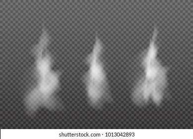 Delicate white cigarette smoke waves on transparent background vector illustration