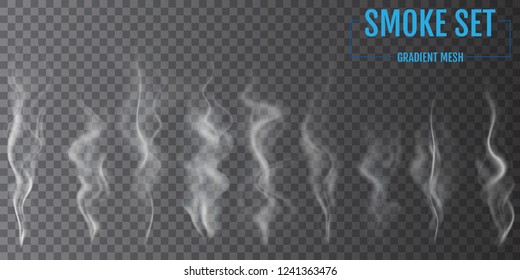 Delicate white cigarette smoke waves on transparent background. Vector illustration