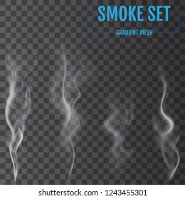 Delicate white cigarette smoke waves on transparent background. Vector illustration