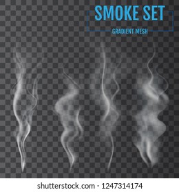 Delicate white cigarette smoke waves on transparent background. Vector illustration