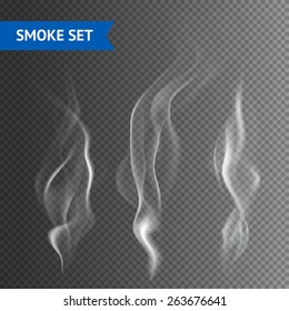 Delicate white cigarette smoke waves on transparent background vector illustration - Shutterstock ID 263676641