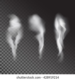 Delicate white cigarette smoke waves on transparent background vector illustration