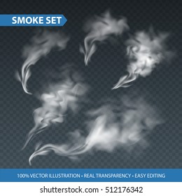 Delicate white cigarette smoke waves on transparent background. Vector illustration EPS10