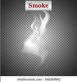 Delicate white cigarette smoke waves on transparent background vector illustration