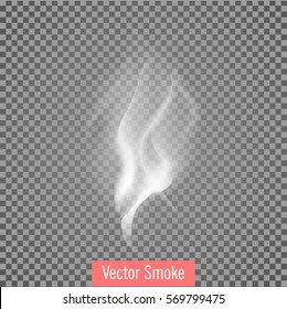 Delicadas ondas de humo de cigarrillo blanco en ilustración vectorial transparente