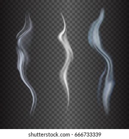 Delicate white cigarette smoke waves on transparent background vector illustration
