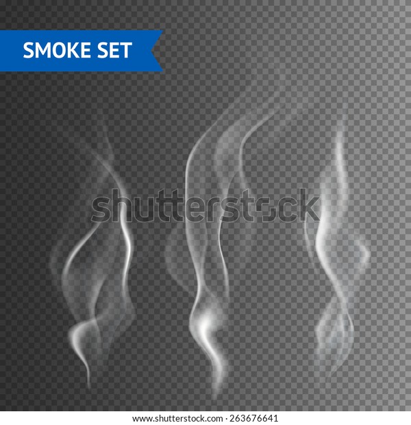 透明な背景に繊細な白いたばこの煙の波 ベクターイラスト のベクター画像素材 ロイヤリティフリー