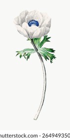 Delicate white flower illustration with green leaves. The flower stands tall, showcasing its intricate petals. White flower art, green leaves, botanical design. Vintage flower illustration vector.