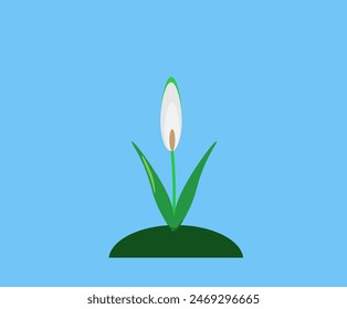 una delicada flor blanca sobre un fondo azul