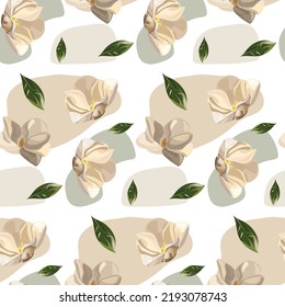 Frische weiße Blumen, Hintergrund. heller Hintergrund mit Flecken und Blumen.