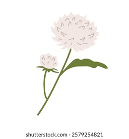 Delicate white flowers with green leaves blooming in a simple and elegant design