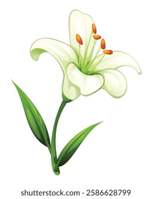 Delicate white lily flower with smooth petals and leaves, perfect for elegant floral designs. Vector cartoon illustration