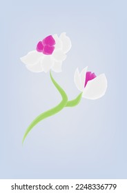 Delicate white orchid. Watercolor or gouache. Design for greeting card, brochures, posters, touristic card. 