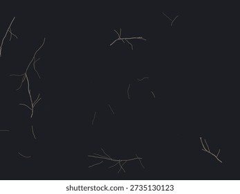 Delicate white spider web strands with dew drops on black background, minimalist nature illustration featuring fine line art and high contrast lighting for elegant design