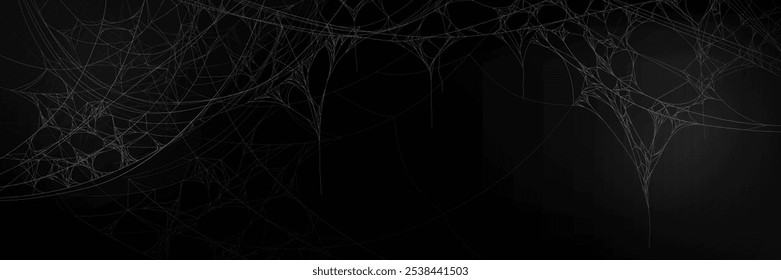 Delicate white spider web structure on dark backdrop. Tricky insect network with thin threads interconnecting at various points pattern. Realistic spooky border with natural cobweb stretches.