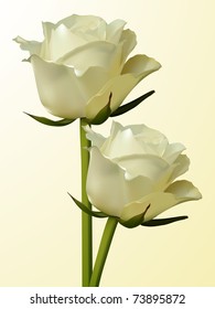 Delicate white vector roses