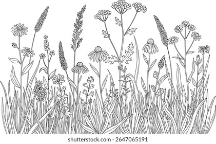 Delicate Wildflower Meadow Illustration A Serene Black and White Botanical Landscape Featuring Daisies, Yarrow and Other Wildflowers Amidst Tall Grass Blades Evoking a Sense of Calm and Natural Beauty