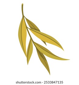 Delicate willow branch features slender green leaves that exhibit a natural curve, beautifully contrasted with a bright white background highlighting its graceful form.