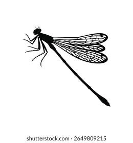 Delicate Winged Damselfly or Dragonfly Black Silhouette Icon Intricate Flying Insect Vector Art for Pond Life Studies and Environmental Design Elements