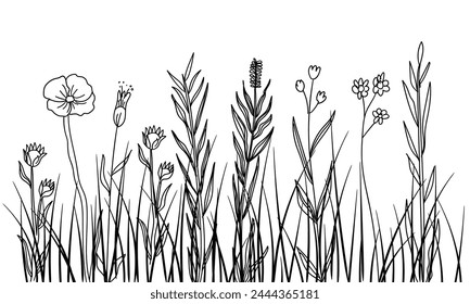 Delicately sketched meadow wildflowers create a captivating border in a whimsical doodle illustration style