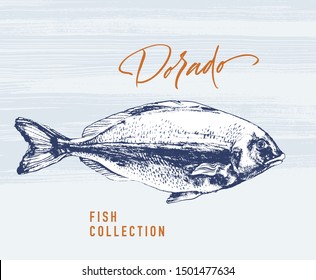 Delicates fish. Dorado. Hand drawn with brush and ink. Delicious meal vector illustration