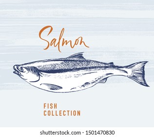 Delicates fish. Salmon. Hand drawn with brush and ink. Delicious meal vector illustration