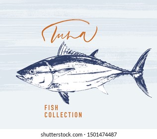 Delicates fish. Tuna. Hand drawn with brush and ink. Delicious meal vector illustration