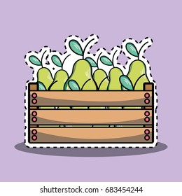 delicios and fresh pears fruit inside basket
