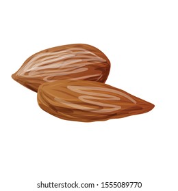 Delicious almonds icon. Cartoon of delicious almonds vector icon for web design isolated on white background