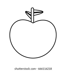 Delicious apple fruit