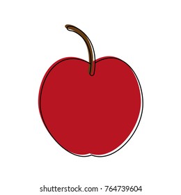 Delicious apple fruit