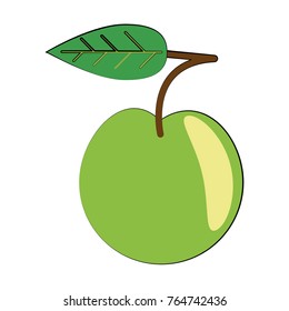 Delicious apple fruit